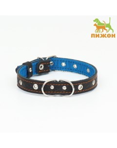 Ошейник кожаный усиленный капроном с полукольцом, 55×2.5 см, ОШ 27-53 см, чёрный Пижон