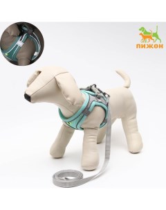 Комплект с мягкой шлейкой, быстросъемный, S, пов.150×1.5 см, ОШ 33-36 см, ОГ 35-40 см, бирюз Пижон