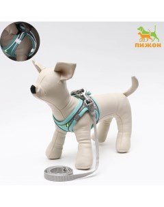 Комплект с мягкой шлейкой быстросъемный, XXS поводок 150×1.5 см, ОШ 24-26 ОГ 28-30 см, бирюзовый Пижон