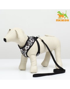 Комплект для собак 3-5 кг, размер S, поводок 120×1.5 см, ОШ 24 см, ОГ 34 см Пижон