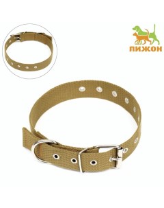 Ошейник брезентовый безразмерный однослойный, 72×3.5 см, песочный Пижон