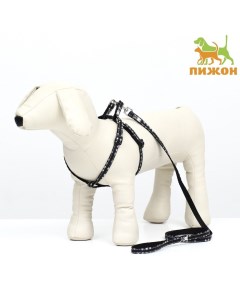 Комплект амуниции двухслойный, размер S, поводок 120 х 1 см, ОШ 24-38 см, ОГ 29-41 см,звёзды Пижон