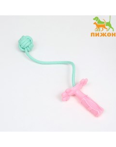 Игрушка канатная с зубочисткой и мячом «Хлыст», до 55 см, до 160 г, розовая/мятная Пижон