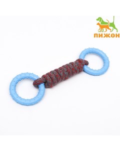 Игрушка канатная с жевательными элементами «Лолли», до 30 см, до 120 г, микс цветов Пижон