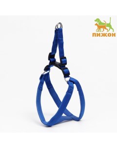 Шлейка «Комфорт» комбинированная, 2.5 см, ОШ 45-65 см, ОГ 50-70 см, синяя Пижон