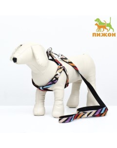 Комплект амуниции двухслойный, размер L, поводок 120×2 см, ОШ 31-45 см, ОГ 35-52 см, разноцветный Пижон