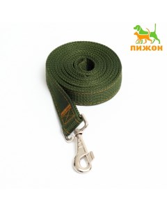 Поводок двухслойный с усиленным карабином, 2 м × 3 см, зелёный Пижон