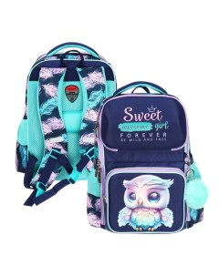 Рюкзак школьный 37х28х14, эргономичная спинка, Smart 14L, Happy Owl, для девочек, бирюзовый/фиолетовый Devente