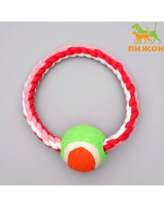 Игрушка тренировочная канатная «Круг с мячом», 120 г, микс цветов Пижон
