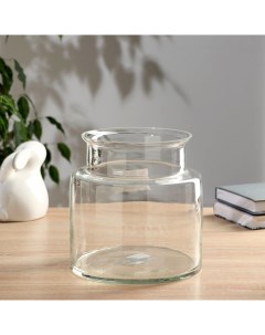 Ваза «Кассандра-1 Флорариум банка», d=15 см, 19×18.5 см, стекло, прозрачная Evis