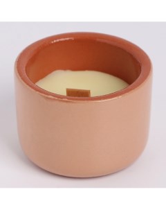 Свеча из соевого воска в кашпо "Горшочек" Богатство аромата