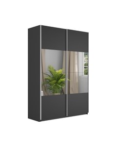 Шкаф-купе Траст СШК 2.160.80-11.13 2-х дверный Трия