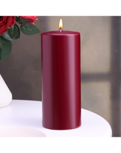 Свеча - цилиндр, 8х20 см, 90 ч, 795 г, бордовая Омский свечной завод