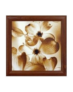 Картина Декарт Интерьерные цветы 8Л3974