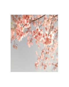 Скатерть JoyArty Вишня под небом / tc_43667 Joyarty