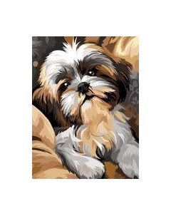 Картина по номерам Милый щенок / КК_53820 Три совы