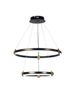 Потолочный светильник Aitin-Pro D6043/2 Aitin-pro