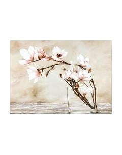 Картина Декарт Ветка с цветом орхидеи 8Л2099