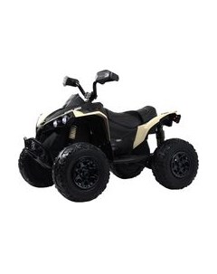 Детский квадроцикл BRP Can-Am Renegade Y333YY Rivertoys