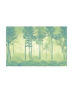 Фотообои листовые Citydecor Таинственный лес 11