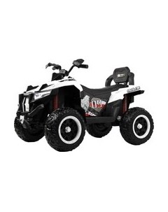 Детский квадроцикл X999XX Rivertoys