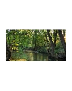 Фотообои листовые Citydecor Природа 93