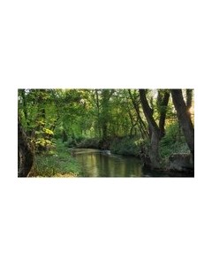 Фотообои листовые Citydecor Природа 93