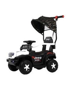 Детский автомобиль G003GG Rivertoys