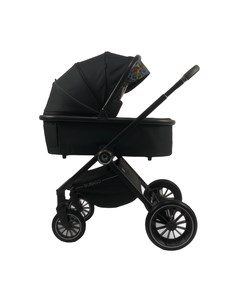 Детская универсальная коляска Bubago Bloom 2 в 1 / BG 134-1