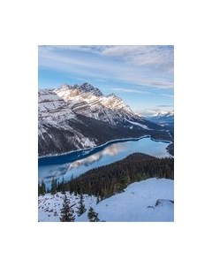 Фотообои листовые Citydecor Природа 97