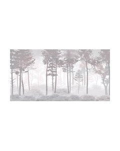 Фотообои листовые Citydecor Таинственный лес 15