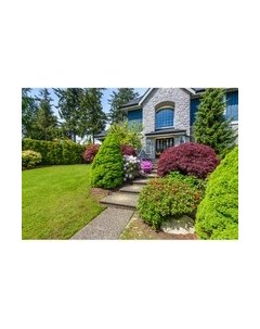 Фотообои листовые Citydecor Природа 101