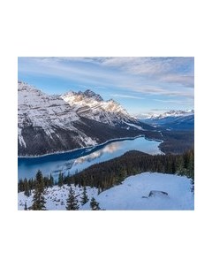 Фотообои листовые Citydecor Природа 97