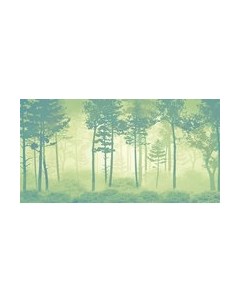 Фотообои листовые Citydecor Таинственный лес 11