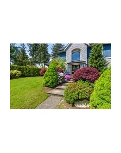 Фотообои листовые Citydecor Природа 101