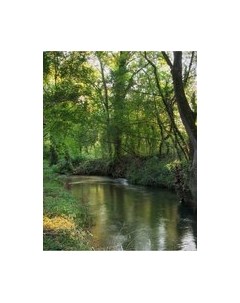 Фотообои листовые Citydecor Природа 93