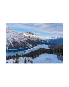 Фотообои листовые Citydecor Природа 97