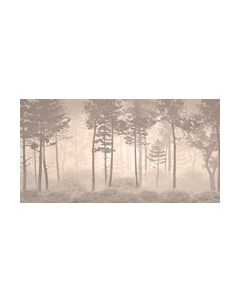 Фотообои листовые Citydecor Таинственный лес 10