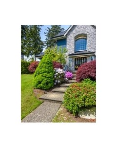 Фотообои листовые Citydecor Природа 101