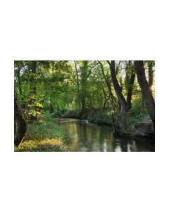 Фотообои листовые Citydecor Природа 93