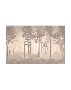 Фотообои листовые Citydecor Таинственный лес 10