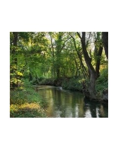 Фотообои листовые Citydecor Природа 93