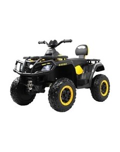 Детский квадроцикл T001TT 4WD Rivertoys