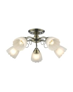 Люстра Velante 708-507-05