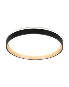 Потолочный светильник Citilux CL753451G