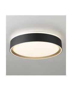 Потолочный светильник Citilux Boss CL751251G