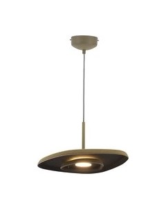 Потолочный светильник Moderli Agato / V11091-PL