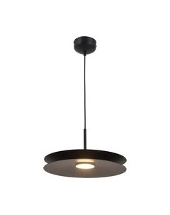 Потолочный светильник Moderli Montana / V11111-PL