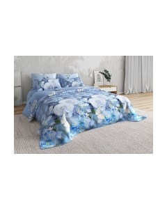 Комплект постельного белья Классик Одуванчики Б 2.0 / 0445/1 Моё бельё