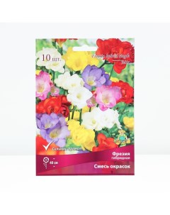 Луковица Фрезия гибридная смесь окрасок, р-р 5/6, 10 шт. Поиск